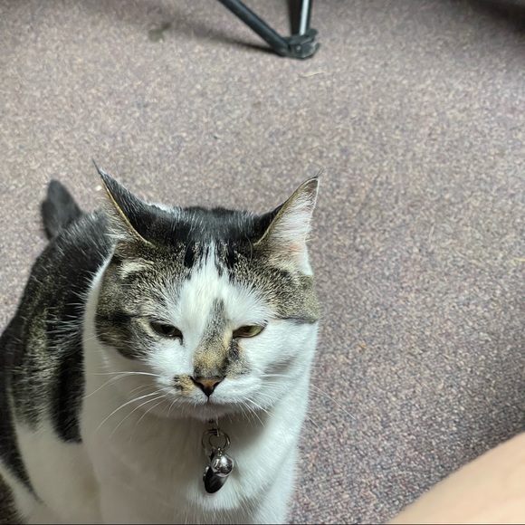 emmak54321